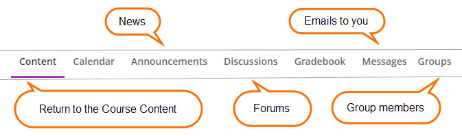 screenshot of navigation bar with Content, Announcements, Discussions, Message and Groups pointed out with call out pointers.