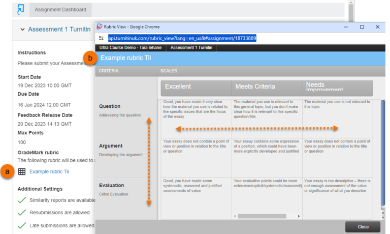 View Turnitin Rubric, Instructions and Settings - Technology Enhanced ...