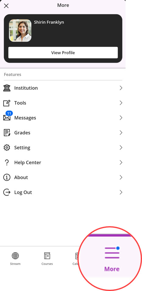 Access Grades, Messages and other links from the More menu.