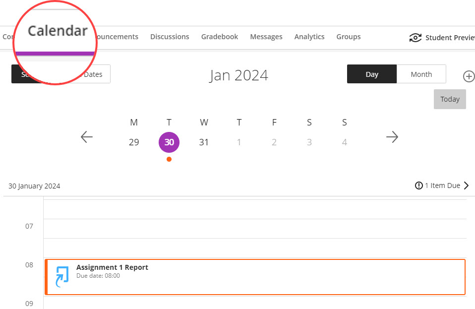 Every Blackboard course and organisation automatically has a calendar.