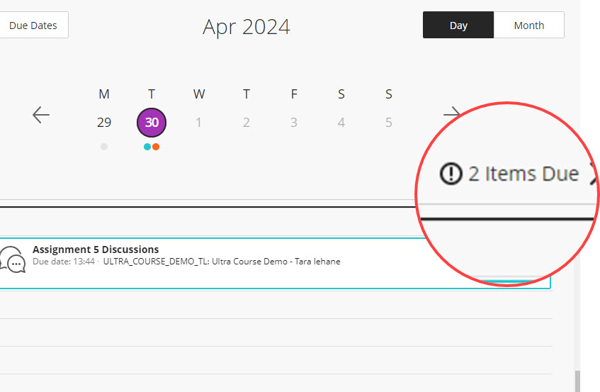 Click on the Items Due link to see a summary of upcoming due dates.