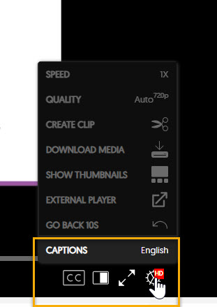 Settings cog opening the video settings menu highlighting Captions