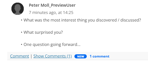 Student entry with New Comments indicated below