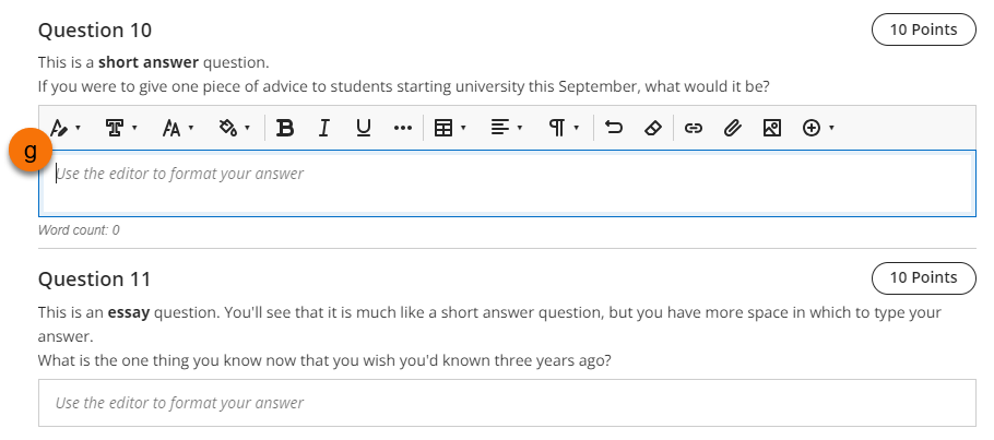 Screenshot of essay question with the text editor open showing all the text and formatting options. 