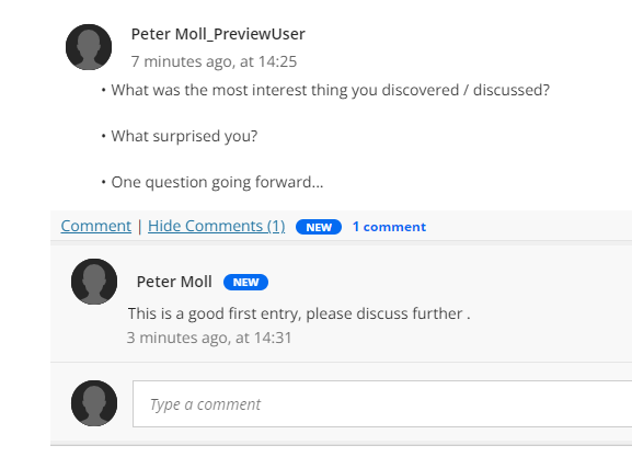 Journal Entry with comments open underneath.