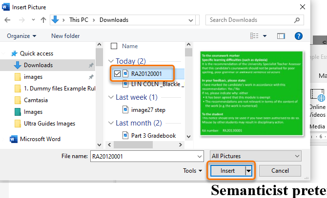 screenshot of file manager with image selected and the insert button