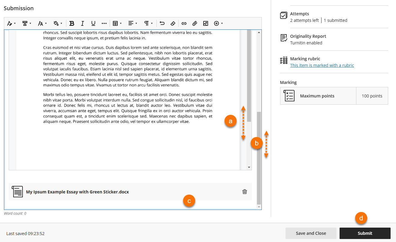 Screenshot of Blackboard Assignment upload screen with preview document open. It shows where the points a to d are on the page.