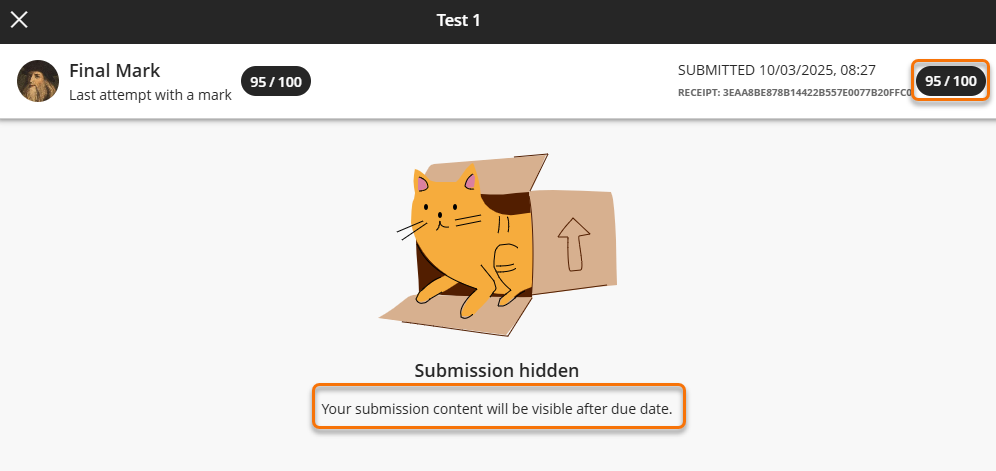 Screenshot of a Blackboard Test where the submission details are hidden from students. There is a cartoon of a cat in a cardboard box.