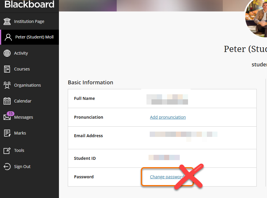 Do not use the change password link in Blackboard. Use the link in the text below the image.