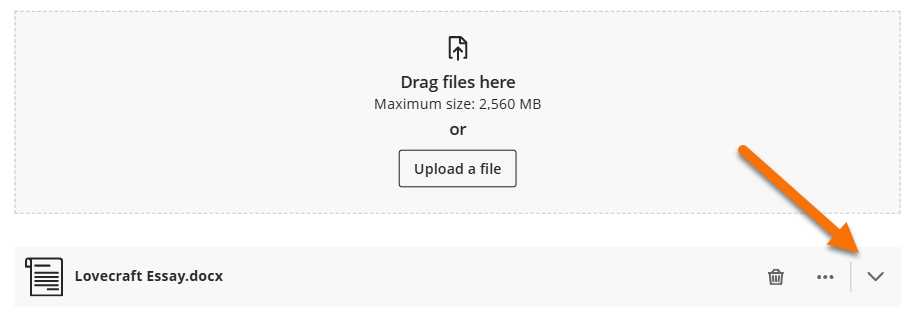Screenshot highlighting the review icon