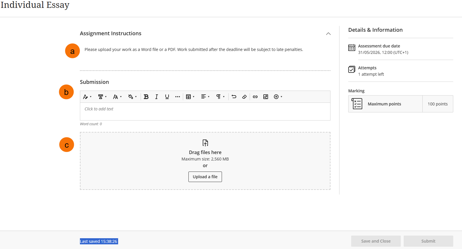 Screenshot showing the Blackboard assignment submission screen