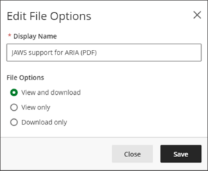 Edit file options dialog. Space is given to provide a compulsory display name. There are three file options for viewing and downloading to select from