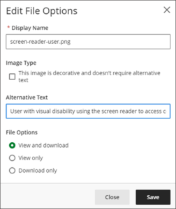 Edit File Options dialog. Space is given to provide a compulsory display name. Image Type, alternative text and File options to view or download can be selected as appropriate