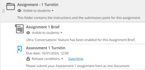 screenshot of Assignment folder in an Ultra course
