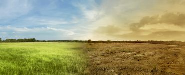 Image depicting a green field on the left and a dried up field on the right, illustrating climate change
