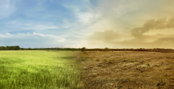 Image depicting a green field on the left and a dried up field on the right, illustrating climate change