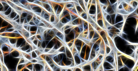 Image representing brain neural activity