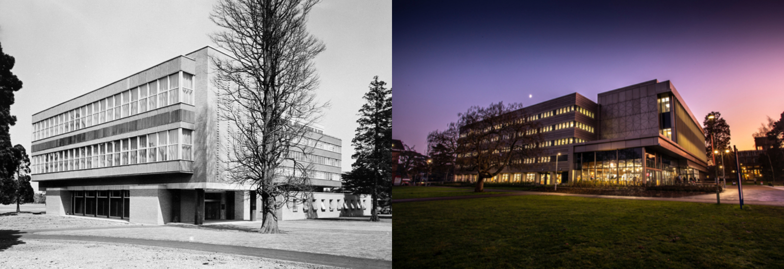The Library in the past and the library now