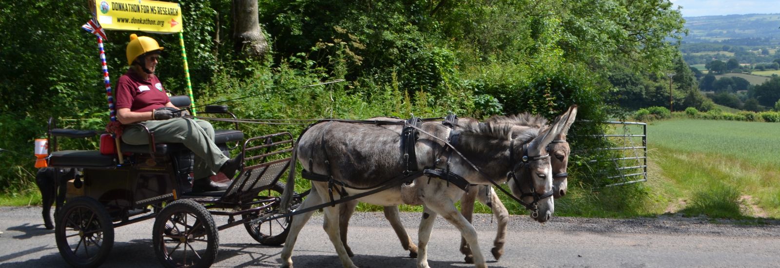 Polly on her Donkathon