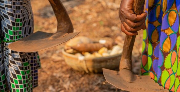 Close-up of the hands of two African women holding two hoes with a basket with the harvest of the fields,
