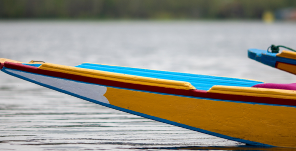Rowing boats in water