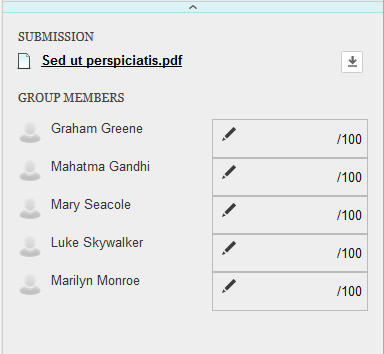 Apply Individual Grading Panel