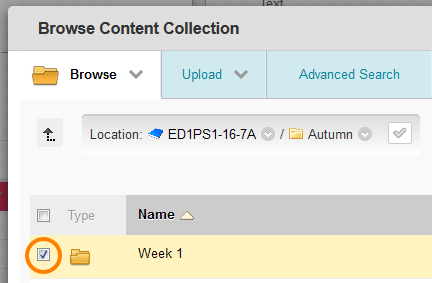 Content collection with file selected