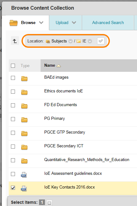 Example of Institutional Content folder navigation