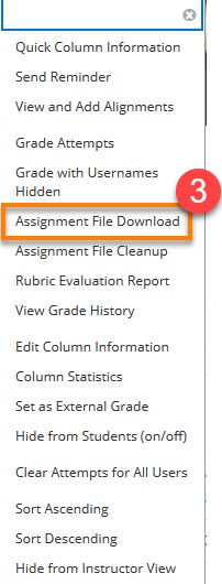 Assignment File Download option from Drop-down Menu