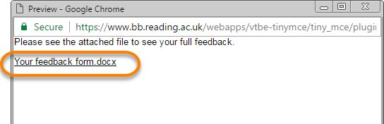 Feedback file shown