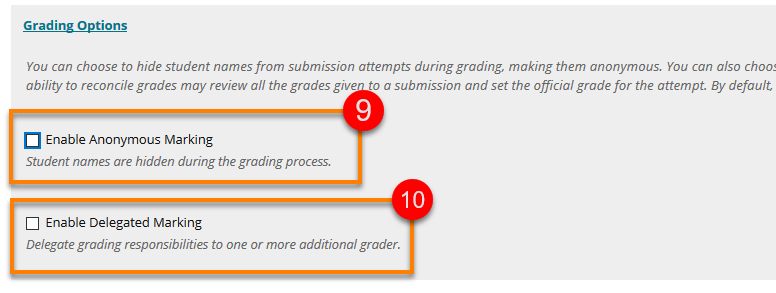 Highlighting Grading options