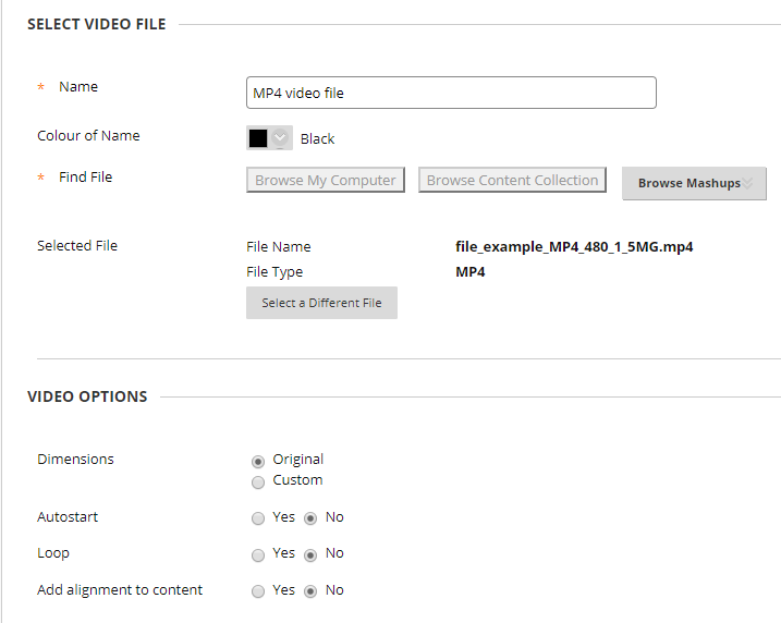 video options