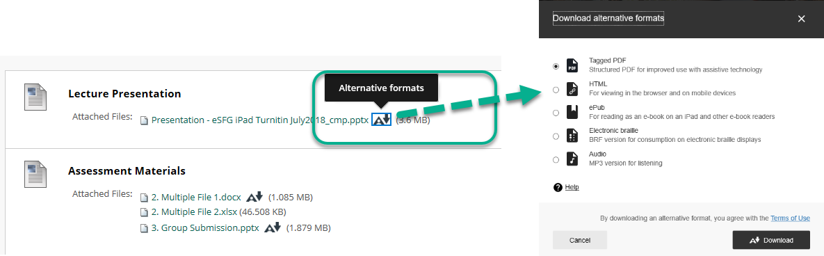 Ally alternative format icon and opening the alternative format menu