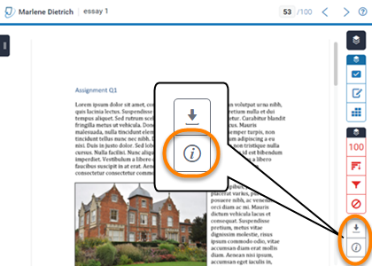 Turnitin Feedback Studio with 'i' icon magnified