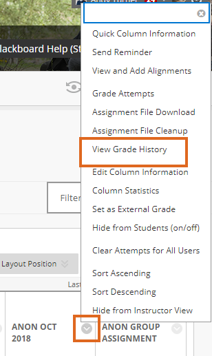 Anonymous Blackboard Assignment - View Grade History from the Grade Centre