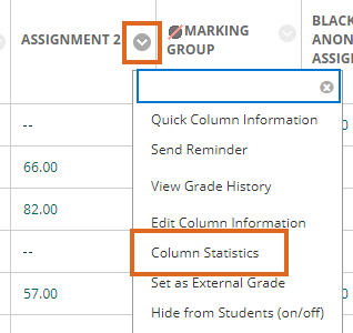 Access Grade Centre Column Statistics