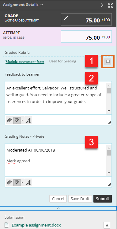 Blackboard Assignment feedback panel