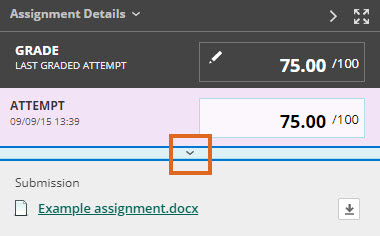 Blackboard Assignment reveal feedback panel