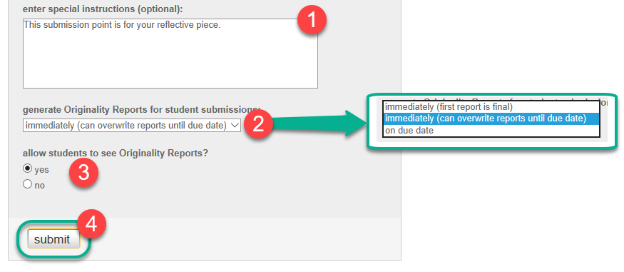 Additional instructions and similarity report options