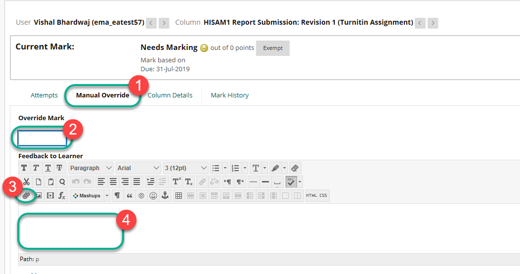 Using the Override Mark area to add a mark and feedback