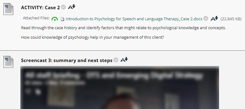 Two consecutive items in Blackboard, titled Activity: Case 2 and Screencast 3, with descriptions of the content 