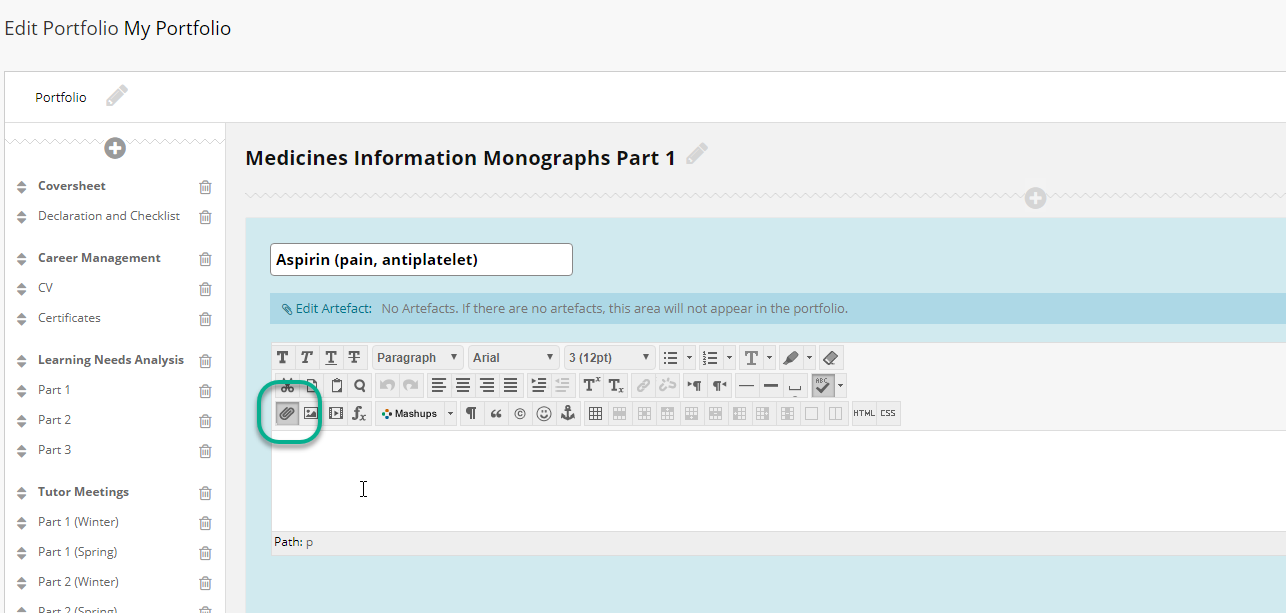 A screenshot of a section of a portfolio highlighting the Insert file button