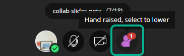 A screenshot of the Collaborate session with the user's hand raised. 