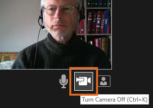 Powerpoint recording - icon to turn camera off