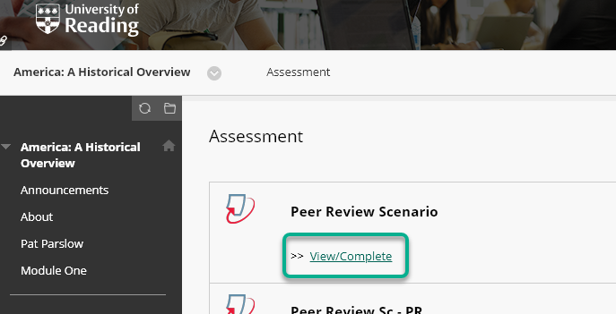Showing the Turnitin assignment View Complete button in a Blackboard course area