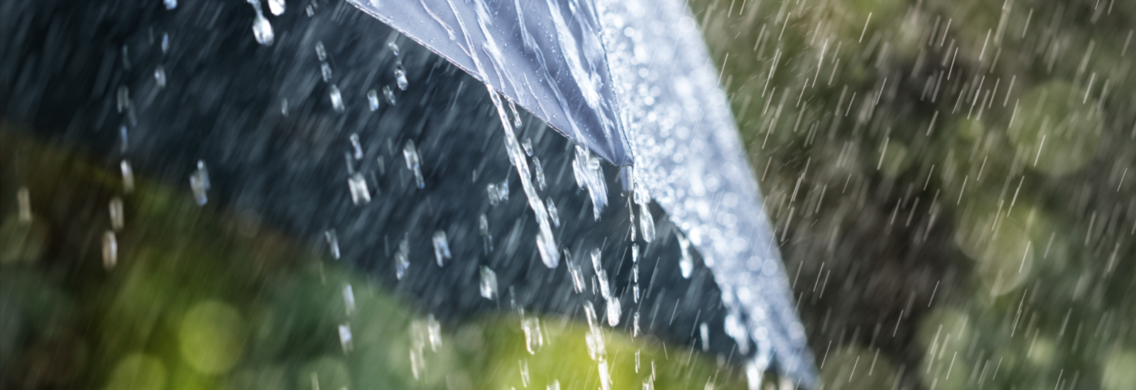 Rainfall Rescue - Connected