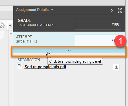 Blackboard Assignment Grading panel, expand options
