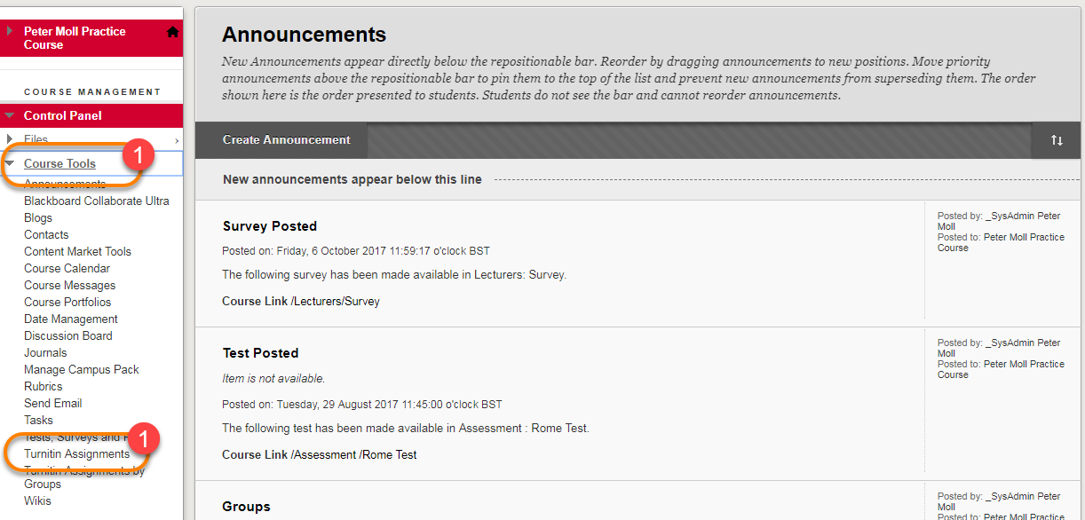 Control Panel showing course tools and Turnitin Assignments