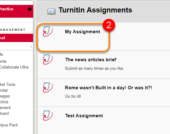 Showing the list of Turnitin assignments 