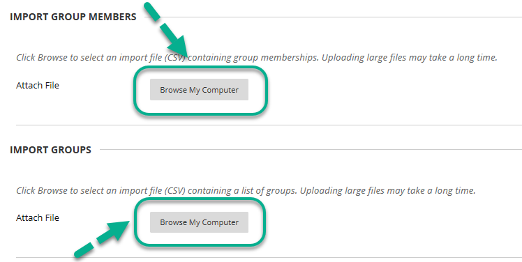 Showing Import group members and import group in Import page